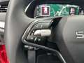 Skoda Octavia Selection TDI DSG Rot - thumbnail 12