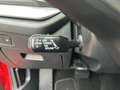 Skoda Octavia Selection TDI DSG Rot - thumbnail 11
