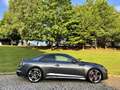 Audi RS5 Coupé 2.9 TFSI Competition Plus quattro tiptronic Gris - thumbnail 16