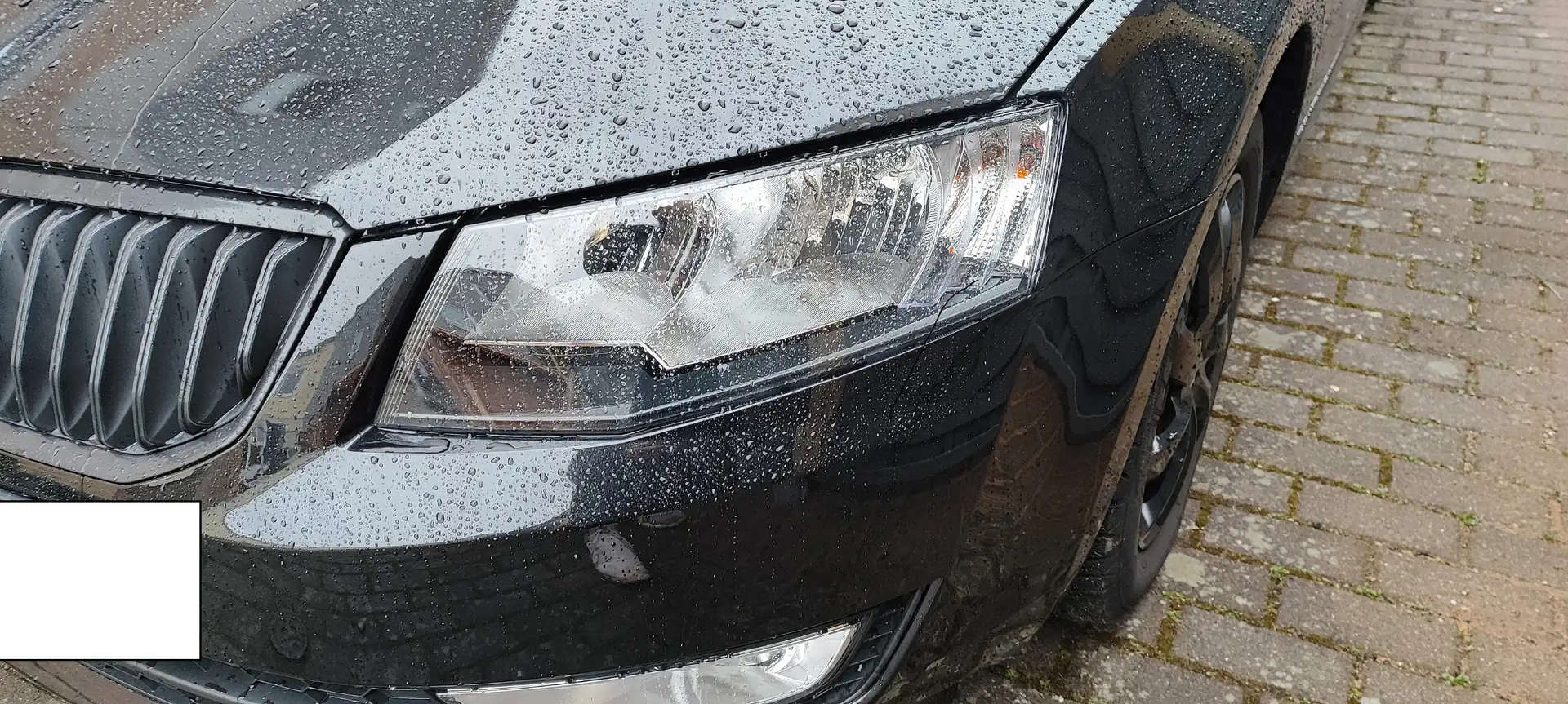 Skoda Octavia Octavia Combi 1.6 TDI Green tec Elegance Schwarz - 1
