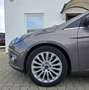 Ford Focus Titanium Brun - thumbnail 15