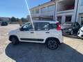 Fiat Panda Panda 1.2 easypower Cross Gpl s Alb - thumbnail 7