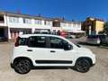 Fiat Panda Panda 1.2 easypower Cross Gpl s Alb - thumbnail 4