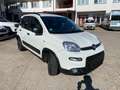 Fiat Panda Panda 1.2 easypower Cross Gpl s Alb - thumbnail 3