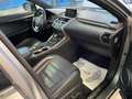 Lexus NX 300h F Sport Hybrid Aut. Grau - thumbnail 5