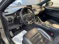 Lexus NX 300h F Sport Hybrid Aut. Сірий - thumbnail 12