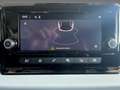 SEAT Arona 1.0 TSI Style LED Sitzhzg AppleCarPlay PDC Grau - thumbnail 12