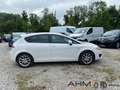 SEAT Leon Style Ecomotive 1.2 TSI NAVI Bi-Xenon Dyn. Kurvenl Weiß - thumbnail 3