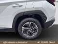 Hyundai TUCSON Tucson 1,6 T-GDI 48V 2WD Jubilé Weiß - thumbnail 14