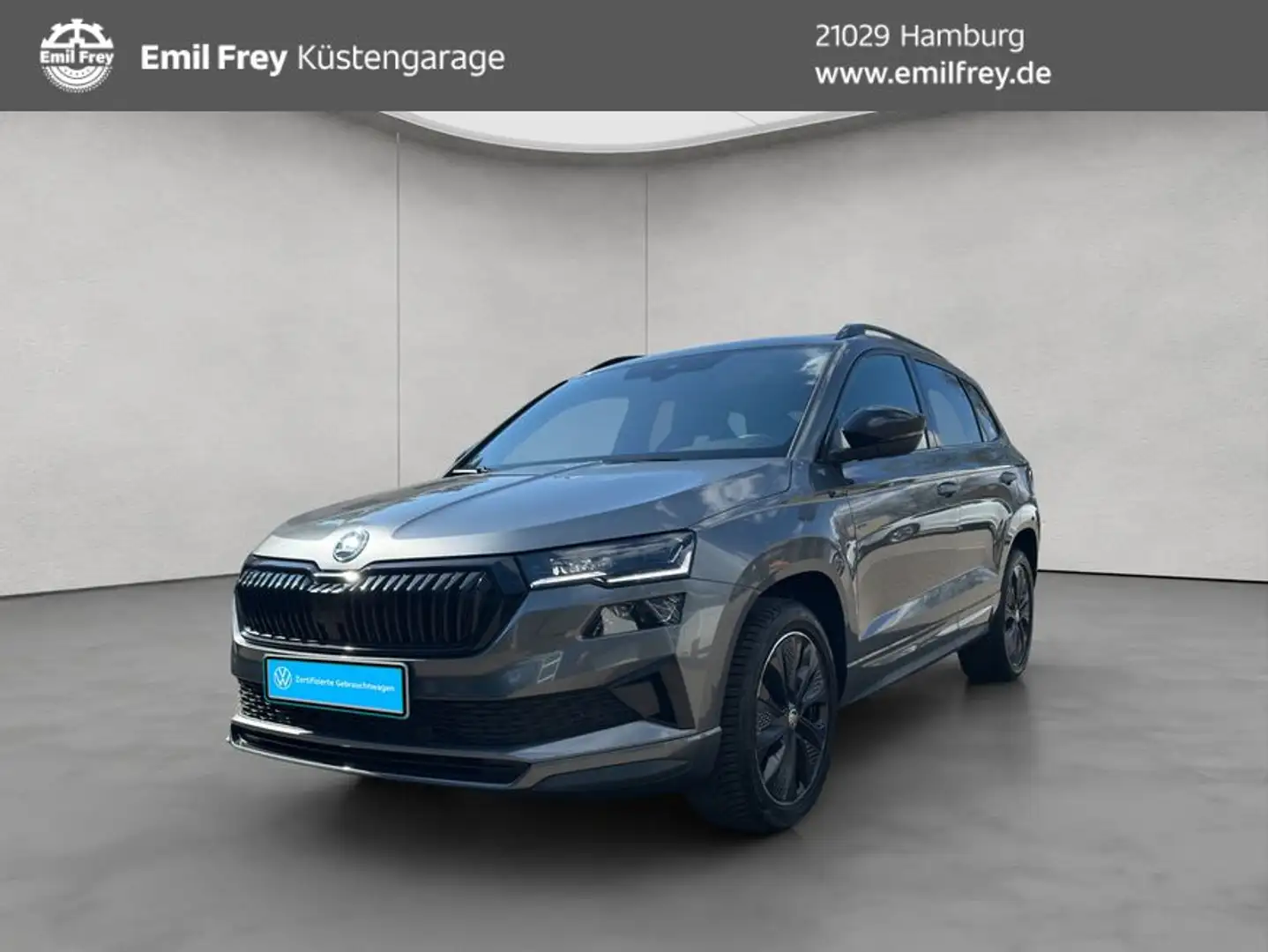 Skoda Karoq 2.0 TSI 4x4 DSG Sportline NAVI SD RFK ACC Grau - 1