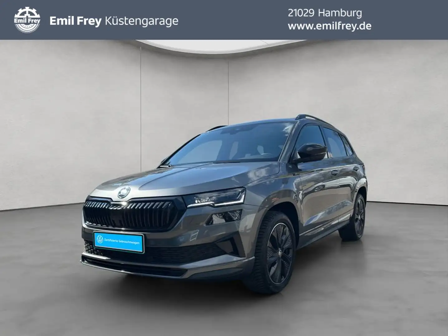 Skoda Karoq 2.0 TSI 4x4 DSG Sportline NAVI SD RFK ACC Gris - 1