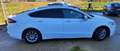 Ford Mondeo 5p 2.0 tdci Titanium Business awd s&s 150cv - thumbnail 6