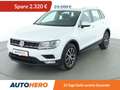 Volkswagen Tiguan 2.0 TDI Comfortline BlueMotion*ACC*CAM* Wit - thumbnail 1