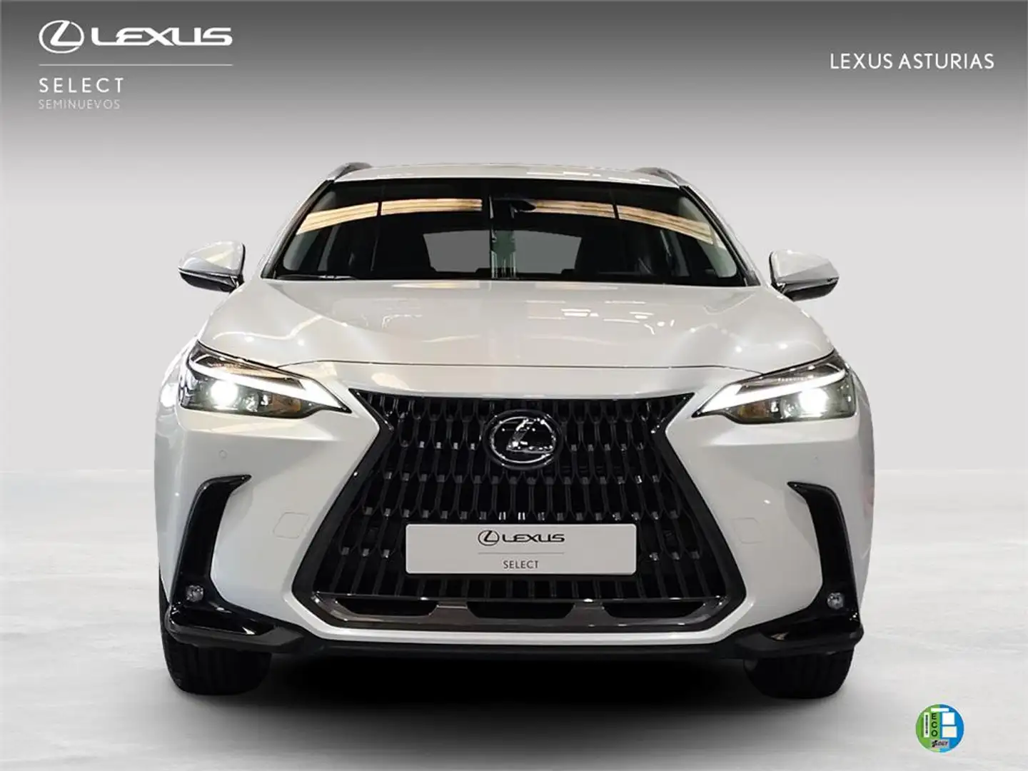 Lexus NX 450h+ PREMIUM+ - 1