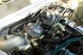 Triumph Stag Gelb - thumbnail 8