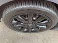 MINI Cooper 1.5 Colour Line aus 1.Hand Rot - thumbnail 15
