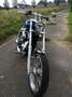 Harley-Davidson Sportster XL 883 XL 883 Custom Modrá - thumbnail 12