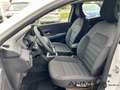 Dacia Sandero III Journey 1.0 TCe 90 EU6e Bianco - thumbnail 11