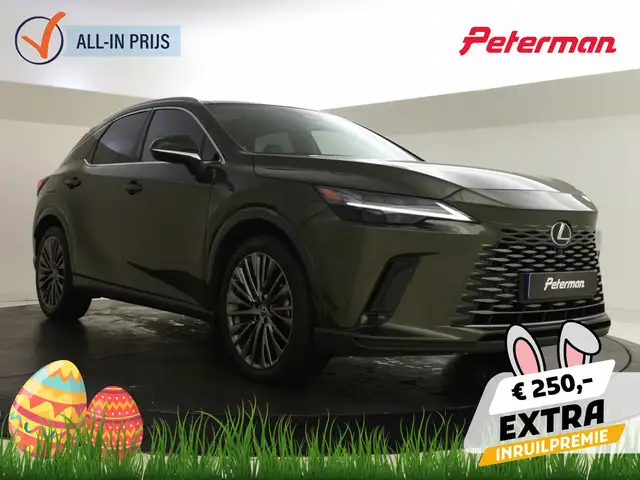 Lexus RX 450h+President Line | Mark Levinson audio | BTW