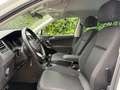 Volkswagen Tiguan 1.5 TSI United | IQ.LIGHT | IQ.DRIVE | AHK | ACC Weiß - thumbnail 14