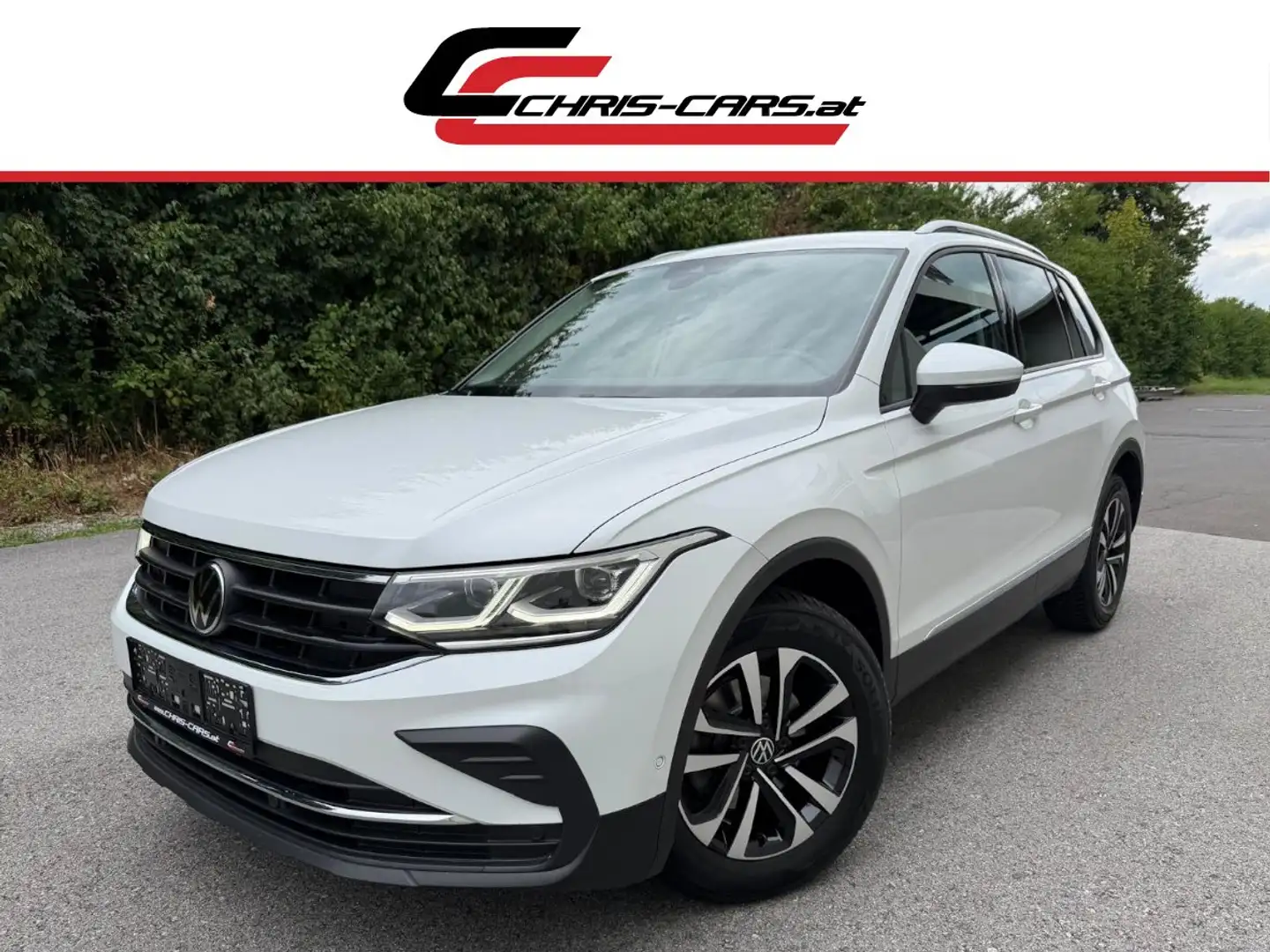Volkswagen Tiguan 1.5 TSI United | IQ.LIGHT | IQ.DRIVE | AHK | ACC Weiß - 1