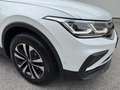 Volkswagen Tiguan 1.5 TSI United | IQ.LIGHT | IQ.DRIVE | AHK | ACC Weiß - thumbnail 5