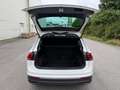 Volkswagen Tiguan 1.5 TSI United | IQ.LIGHT | IQ.DRIVE | AHK | ACC Weiß - thumbnail 8