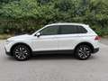 Volkswagen Tiguan 1.5 TSI United | IQ.LIGHT | IQ.DRIVE | AHK | ACC Weiß - thumbnail 3