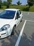 Fiat Punto 5p 1.3 mjt II 16v Lounge s&s 95cv - thumbnail 7