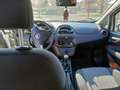 Fiat Punto 5p 1.3 mjt II 16v Lounge s&s 95cv - thumbnail 15