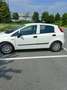 Fiat Punto 5p 1.3 mjt II 16v Lounge s&s 95cv - thumbnail 9