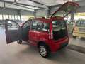 Fiat Panda 1.2 4x4 Climbing Rouge - thumbnail 14