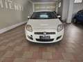 Fiat Bravo Bravo II 2007 1.6 mjt Dynamic 120cv Bianco - thumbnail 5