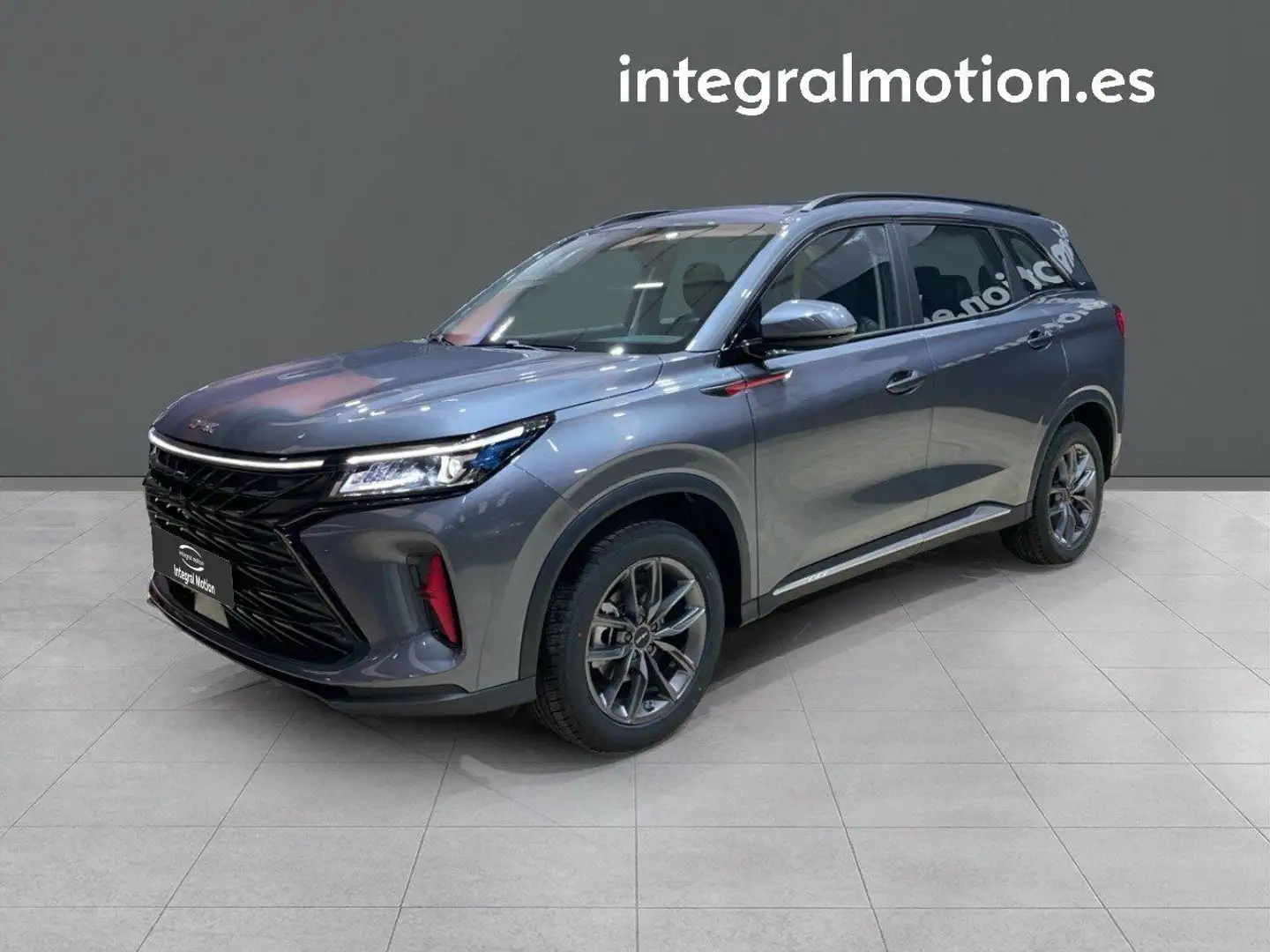 DFSK Luxury Gris - 1