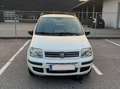 Fiat Panda Panda 1,2 73tkm, neues Pickerl Weiß - thumbnail 6