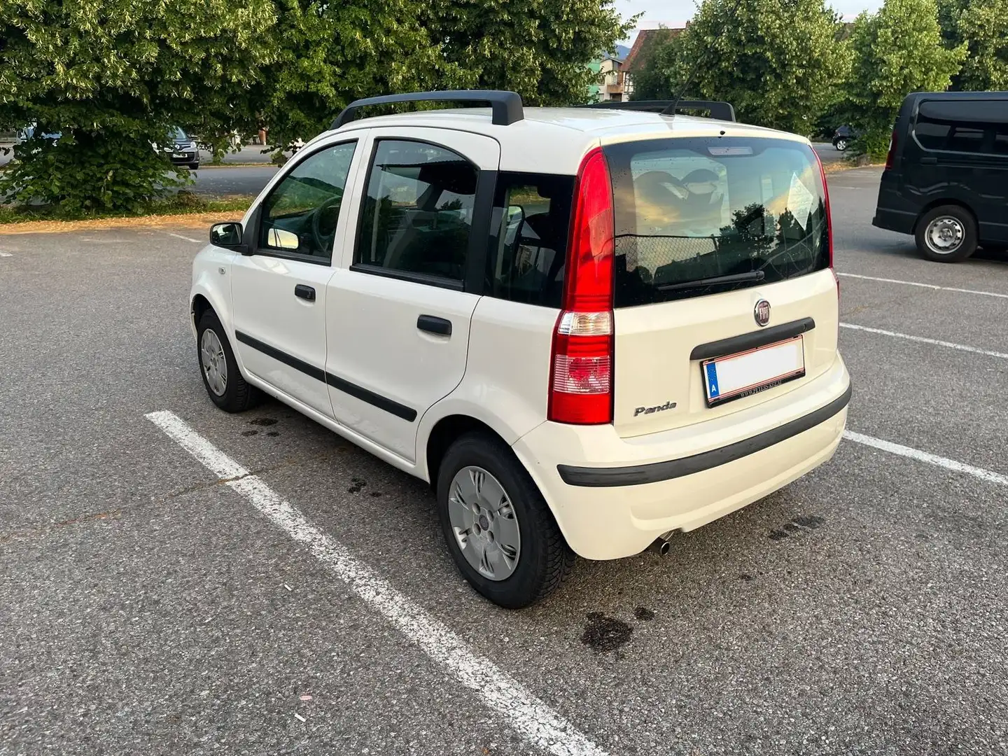 Fiat Panda Panda 1,2 73tkm, neues Pickerl Weiß - 2
