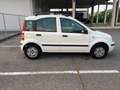 Fiat Panda Panda 1,2 73tkm, neues Pickerl Weiß - thumbnail 4