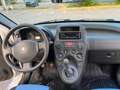 Fiat Panda Panda 1,2 73tkm, neues Pickerl Weiß - thumbnail 8