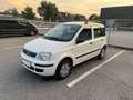 Fiat Panda Panda 1,2 73tkm, neues Pickerl Weiß - thumbnail 1
