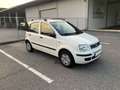 Fiat Panda Panda 1,2 73tkm, neues Pickerl Weiß - thumbnail 5
