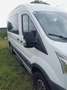 Ford Transit 4x4 Transit Behindertengerecht Rollstuhlhebebühne Variobus 2,2 TDCI L2H2 350 Trend Winterpaket Weiß - thumbnail 6