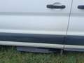 Ford Transit 4x4 Transit Behindertengerecht Rollstuhlhebebühne Variobus 2,2 TDCI L2H2 350 Trend Winterpaket Weiß - thumbnail 7