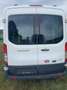 Ford Transit 4x4 Transit Behindertengerecht Rollstuhlhebebühne Variobus 2,2 TDCI L2H2 350 Trend Winterpaket Weiß - thumbnail 30