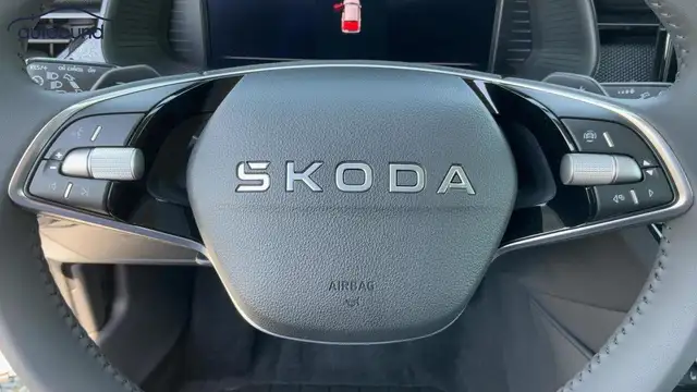 Skoda Kamiq view 10