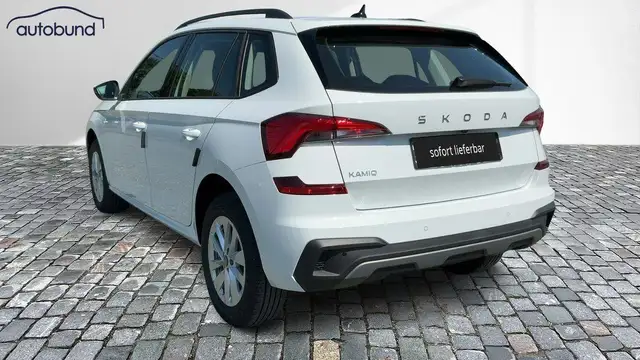 Skoda Kamiq view 2