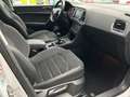 SEAT Ateca Style 1,0 TSI Bianco - thumbnail 13