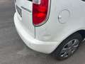 Skoda Roomster Roomster 1.2 TDI DPF Active Weiß - thumbnail 9