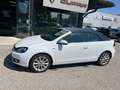 Volkswagen Golf 1.4 TSI Lounge+NAVI+CLIMATR.+ALU+PDC Weiß - thumbnail 4