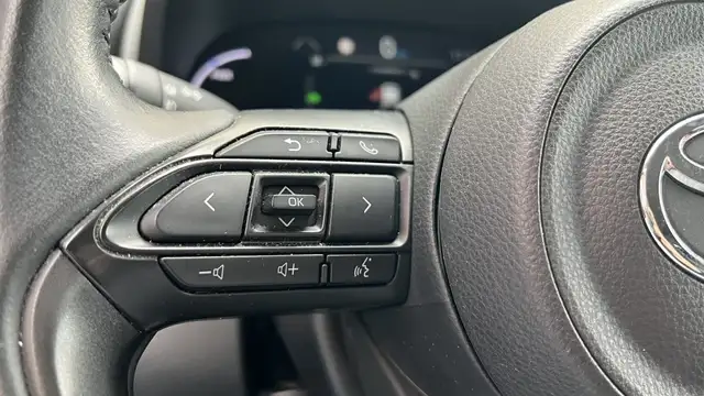 Toyota Yaris Cross view 17