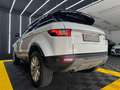 Land Rover Range Rover Evoque Pure 2,0 TD4 Aut. Weiß - thumbnail 13